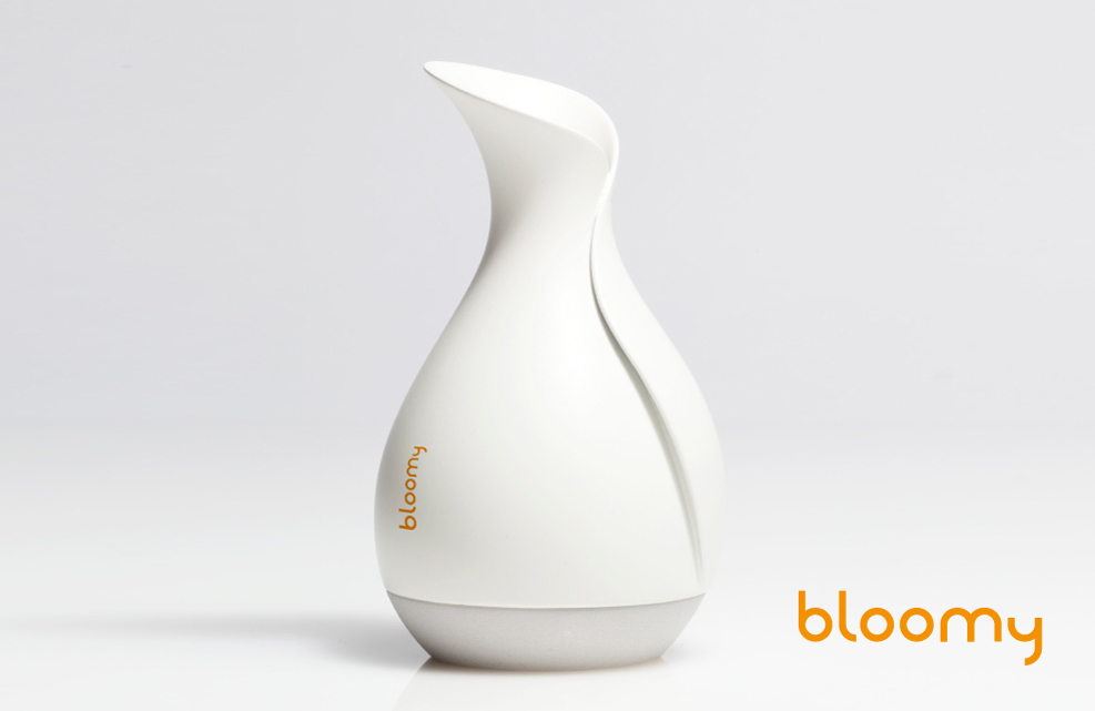 Bloomy02