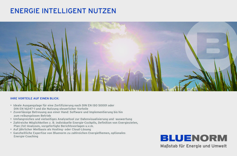 Bluenorm 03